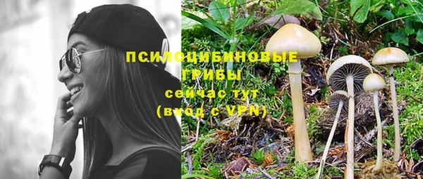 кристаллы Тында