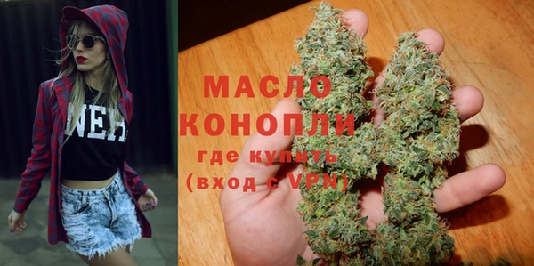 дмт Гусев